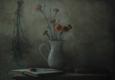  作： Delphine Devos