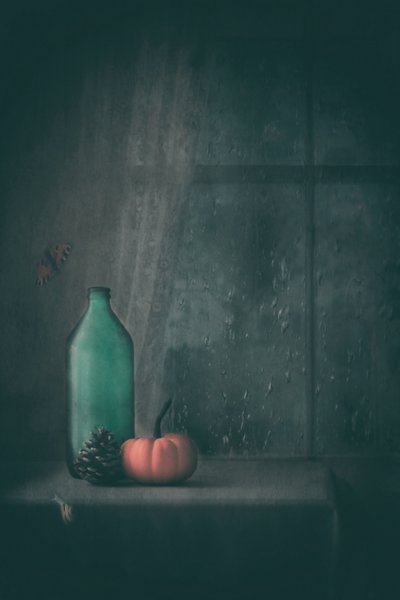 雨の降る秋の静物画 作： Delphine Devos