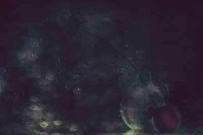  作： Delphine Devos