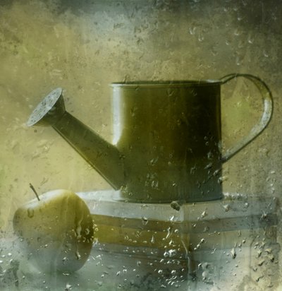 雨の窓辺の静物画 作： Delphine Devos
