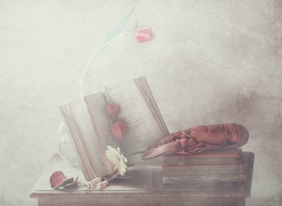 作： Delphine Devos