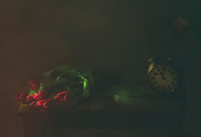 作： Delphine Devos