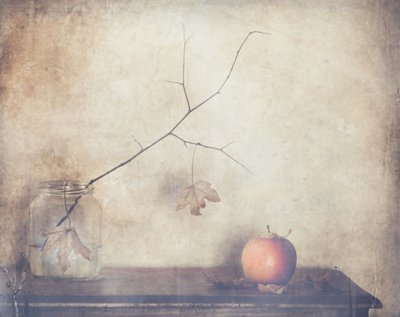  作： Delphine Devos