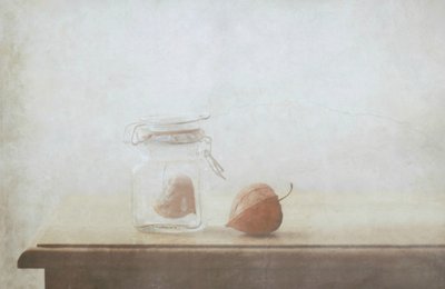  作： Delphine Devos