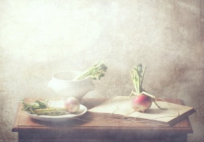  作： Delphine Devos