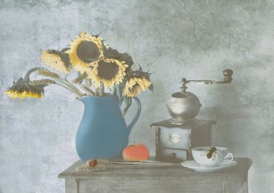  作： Delphine Devos