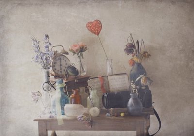  作： Delphine Devos