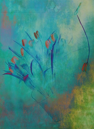  作： Delphine Devos