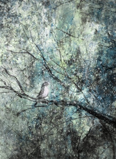 穏やかな冬の鳥 作： Delphine Devos