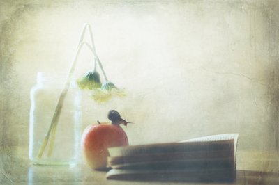  作： Delphine Devos