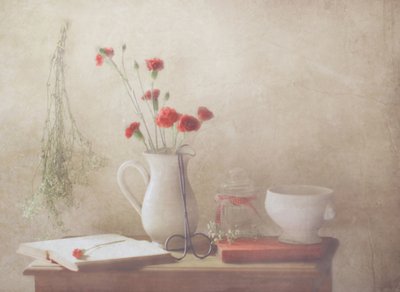  作： Delphine Devos