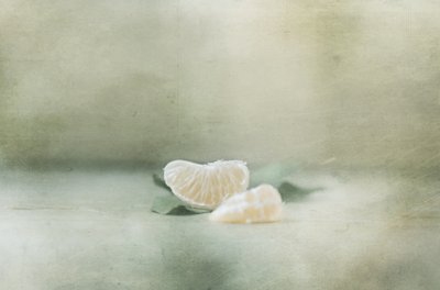 柔らかな柑橘類の静物画 作： Delphine Devos