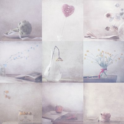  作： Delphine Devos
