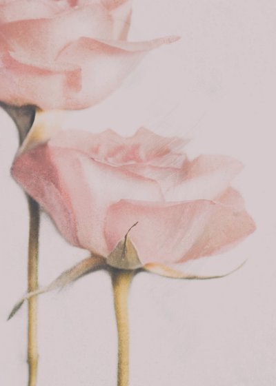  作： Delphine Devos