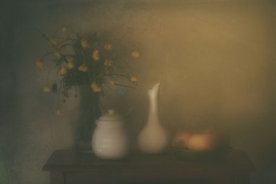  作： Delphine Devos