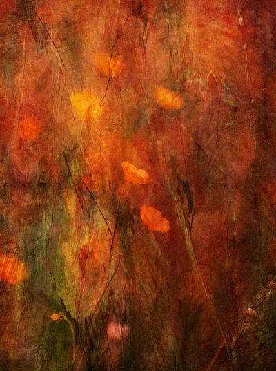  作： Delphine Devos