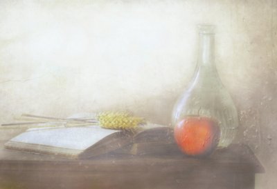  作： Delphine Devos