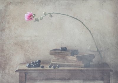  作： Delphine Devos