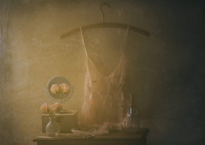  作： Delphine Devos