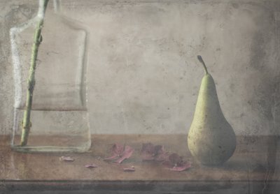  作： Delphine Devos