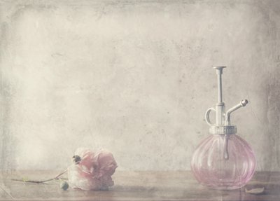  作： Delphine Devos
