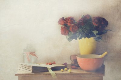  作： Delphine Devos