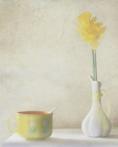 黄色い水仙の静物画 作： Delphine Devos