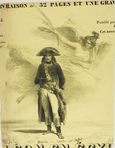エジプトのナポレオン 作： Denis Auguste Marie Raffet