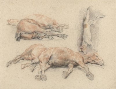 馬の死体と絞首刑にされた犬の研究 作： Denis Auguste Marie Raffet