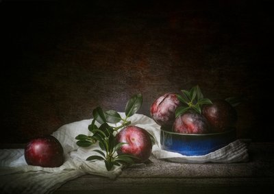 憂いを帯びたプラムの静物画 作： 