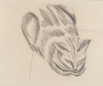 眠っている猫（紙に鉛筆） 作： Denton Welch
