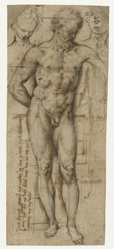 裸の男 (ヘラクレス?) と女性の 2 つの頭の研究 作： Denys Calvaert