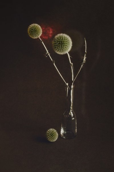  作： 