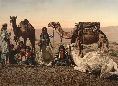 砂漠で止まるラクダ、聖地、1890年頃（写真製版） 作： Detroit Photographic Co.