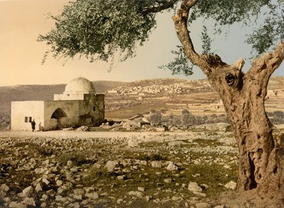 レイチェルの墓、エルサレム、聖地、c.1890-c.1900（フォトクロムプリント） 作： Detroit Photographic Co.