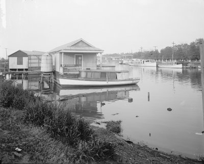 1910年、ニューオーリンズのバイユーセントジョン沿い 作： Detroit Publishing Co.
