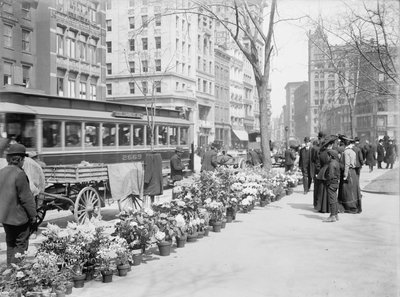 フラワーベンダー、イースターディスプレイ、ニューヨーク市、米国、1904年頃 作： Detroit Publishing Co.