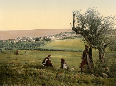 全景、ガリラヤのカナ、聖地、1890-1900年頃（フォトクロム・プリント） 作： デトロイト出版株式会社