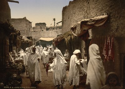 シディオクバのアルジェリア通り、1899年頃（フォトクロム） 作： Detroit Publishing Co.