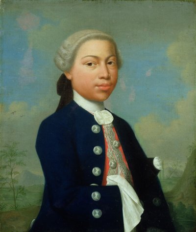 若い北アフリカの湿原の肖像 作： Diderick Herman Cuypers