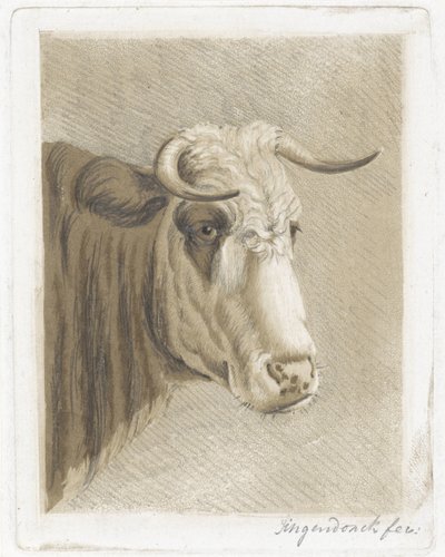 牛の頭 作： Diederik Jan Singendonck (signed by artist)