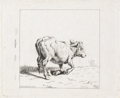 ふくらはぎの勃起 作： Diederik Jan Singendonck