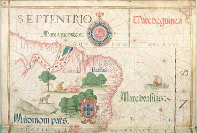 アマゾンの口、ブラジル、世界地図、1565年の詳細 作： Diego Homem