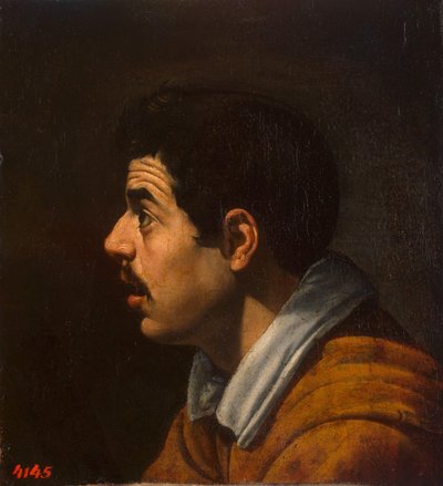 横顔の男の頭、c。 1616-1617 作： Diego Velázquez