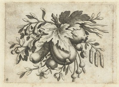 Festoen van Vrutten 旅に役立つ小さなフルーツブック（連載タイトル） 作： Dietrich Krüger (attributed to)