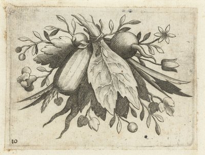 Festoen van Vrutten 旅に役立つ小さなフルーツブック（連載タイトル） 作： Dietrich Krüger (attributed to)