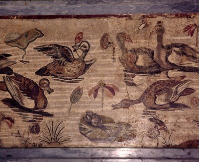 水の庭のアヒルとカエルのポンペイのローマ時代のモザイク、1世紀 作： Dioscurides of Samos