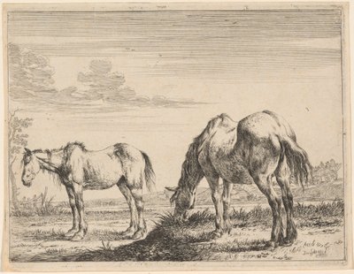 2 つの放牧馬 作： Dirck Stoop