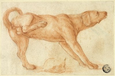 岩の上で排尿する犬 作： Dirk Valkenburg