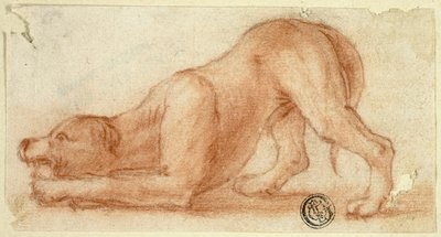 ジャンプする毛皮の犬 作： Dirk Valkenburg